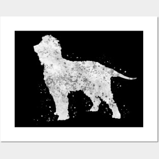 Irish water spaniel dog Posters and Art